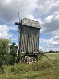 Asva pukktuulik