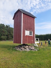 Hullo pukktuulik