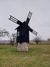 Imavere pukktuulik
