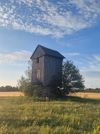 Jursi pukktuulik