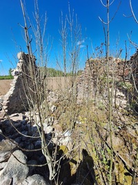 Kamara tuuleveski