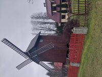 Kaunispe pukktuulik