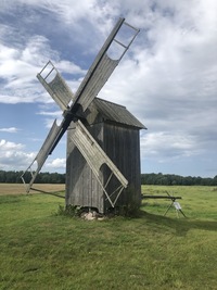 Kukka pukktuulik
