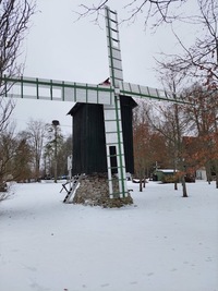 Lagedi pukktuulik