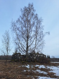 Leie tuuleveski