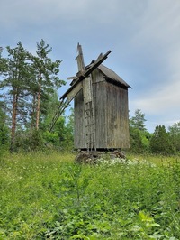 Lepiku pukktuulik