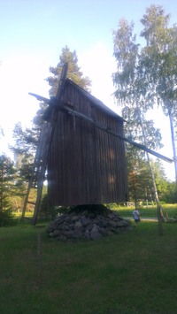 Luidja pukktuulik