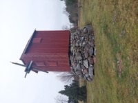 Möldri pukktuulik