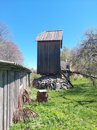 Meiuste pukktuulik