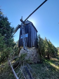 Merise pukktuulik