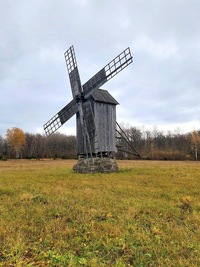 Mustla pukktuulik