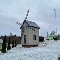 Oomiste pukktuulik