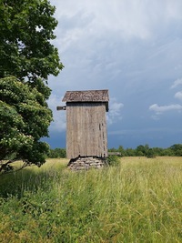 Paenase pukktuulik