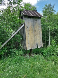 Pihla pukktuulik