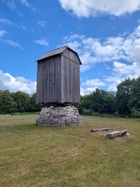 Riksu pukktuulik