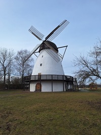 Suislepa tuuleveski