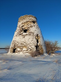 Tammiku tuuleveski