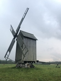 Tubala pukktuulik