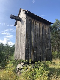 Vahtrepa pukktuulik