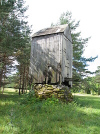 Vaivere pukktuulik
