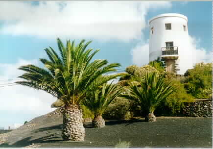 Yaiza