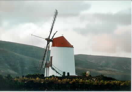 Guatiza, Lanzarote