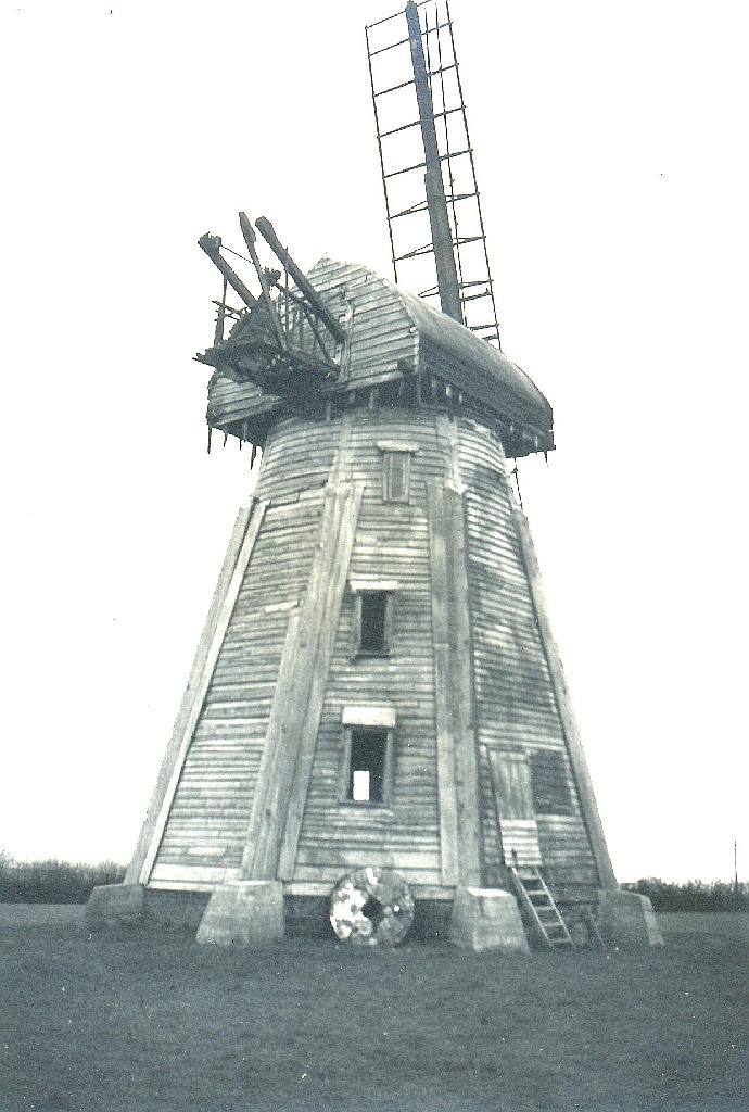 Mill ID 1695