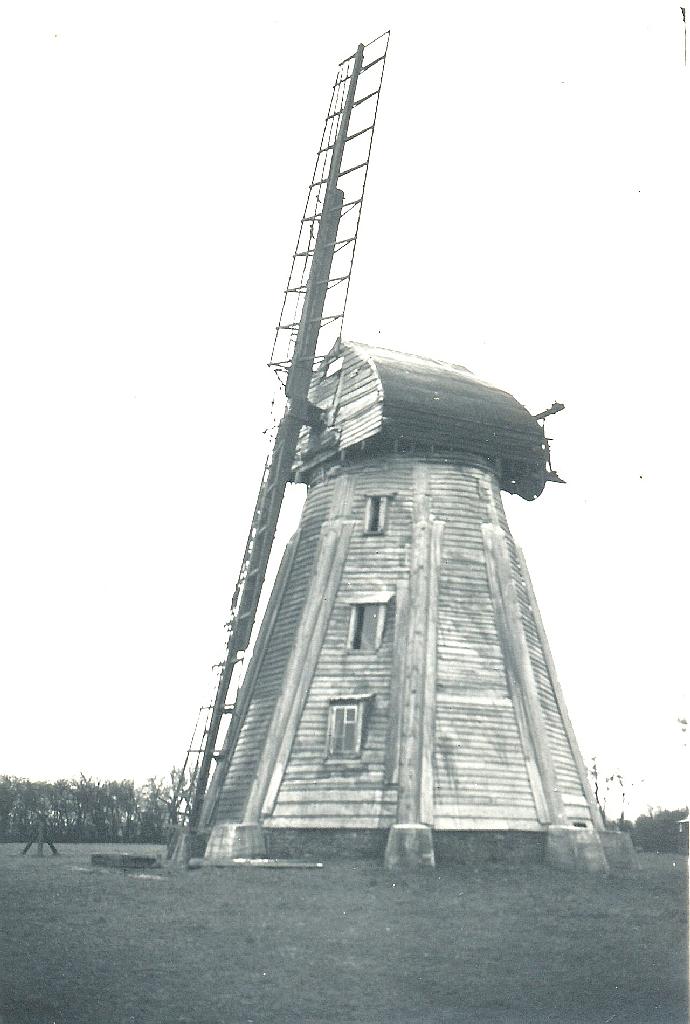 Mill ID 1695