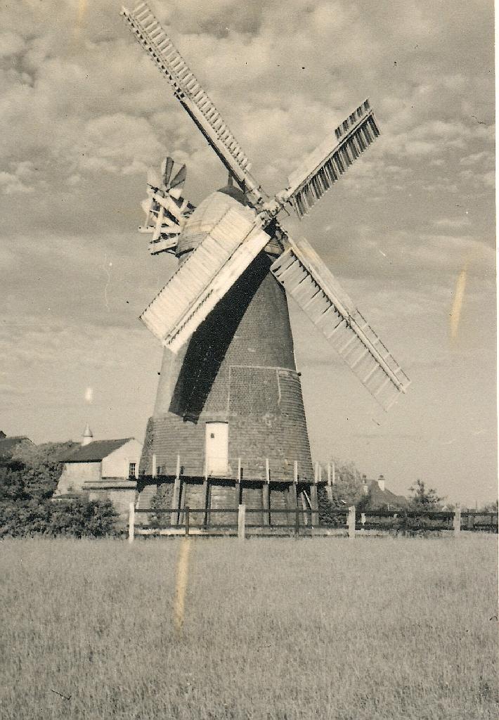 Mill ID 2659