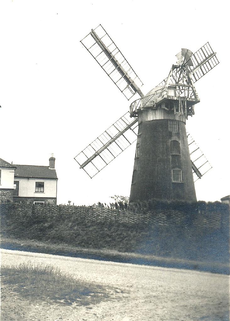 Mill ID 2159