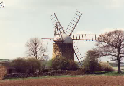 Mill ID 1294