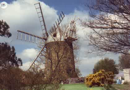 Mill ID 1294