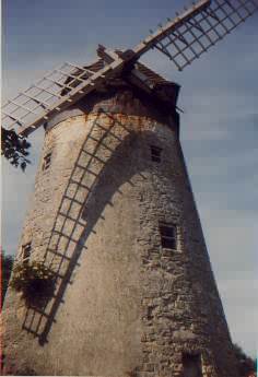 Mill ID 1696